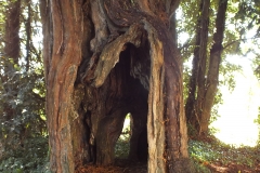 NOTRE DAME de LORETTE (26)